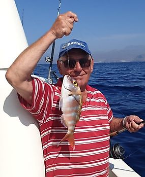 Besugo Cavalier & Blue Marlin Sport Fishing Gran Canaria