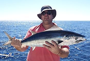 Nordatlantik Bonito Cavalier & Blue Marlin Sport Fishing Gran Canaria