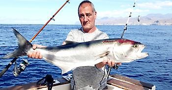 Kung fisk Cavalier & Blue Marlin Sport Fishing Gran Canaria