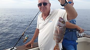 Rode snapper Cavalier & Blue Marlin Sport Fishing Gran Canaria