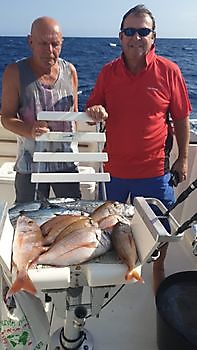 Vivaneaux rouges, barracudas, Bonites de Atlantique, Dorades, Raies ....... etc. Cavalier & Blue Marlin Sport Fishing Gran Canaria