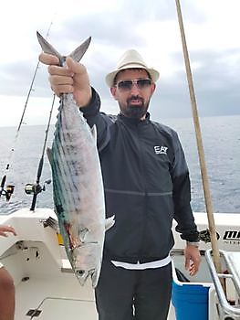 Bonito del Atlántico Norte Pesca Deportiva Cavalier & Blue Marlin Gran Canaria