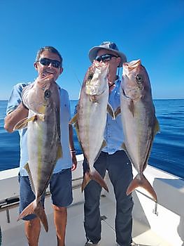 Mérous et Sérioles Cavalier & Blue Marlin Sport Fishing Gran Canaria