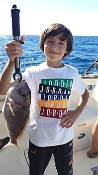 Roodgestreepte Zeebrasem Cavalier & Blue Marlin Sport Fishing Gran Canaria
