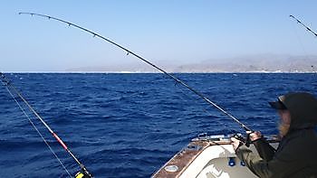 https://www.bluemarlin3.com/nl/hook-up Cavalier & Blue Marlin Sport Fishing Gran Canaria