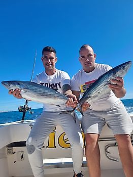 https://www.bluemarlin3.com/de/nordatlantischer-bonito Cavalier & Blue Marlin Sportfischen Gran Canaria