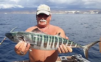 https://www.bluemarlin3.com/it/bonito-del-nord-atlantico Cavalier & Blue Marlin Pesca sportiva Gran Canaria