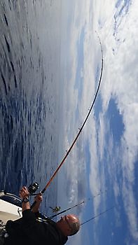 https://www.bluemarlin3.com/fr/hooked-up Cavalier & Blue Marlin Sport Fishing Gran Canaria