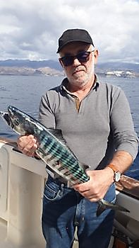 Bonito del Nord Atlantico Cavalier & Blue Marlin Pesca sportiva Gran Canaria