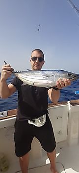Noord-Atlantische Bonito Cavalier & Blue Marlin Sport Fishing Gran Canaria