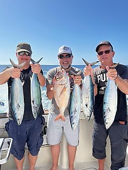 Nice catch guys Cavalier & Blue Marlin Sport Fishing Gran Canaria