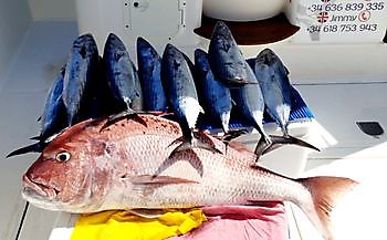 Heel mooie vangst Cavalier & Blue Marlin Sport Fishing Gran Canaria