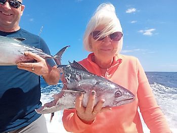 Een hamerhaai van 200 pond nam haar vis Cavalier & Blue Marlin Sport Fishing Gran Canaria