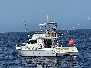 Atún rojo de 800 libras Pesca Deportiva Cavalier & Blue Marlin Gran Canaria