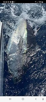 800lb Bluefin Tuna Cavalier & Blue Marlin Sport Fishing Gran Canaria