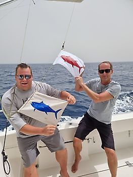 Dubbele aanbeet Blauwvin tonijn Cavalier & Blue Marlin Sport Fishing Gran Canaria