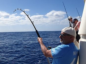https://www.bluemarlin3.com/es/hook-up Pesca Deportiva Cavalier & Blue Marlin Gran Canaria