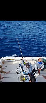 Het gevecht Cavalier & Blue Marlin Sport Fishing Gran Canaria