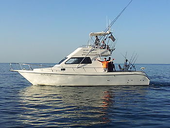 1:a Blue Marlin 2022 Cavalier & Blue Marlin Sport Fishing Gran Canaria