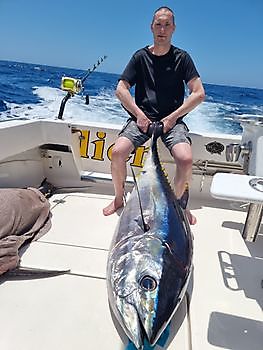 3 Großaugen-Thunfisch Cavalier & Blue Marlin Sportfischen Gran Canaria