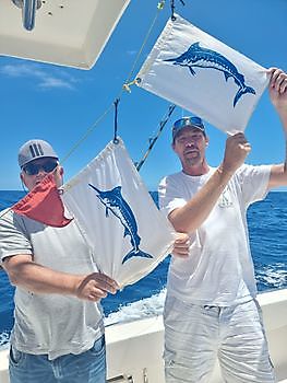Lots of Marlin Cavalier & Blue Marlin Sport Fishing Gran Canaria