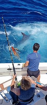 Woooow Cavalier & Blue Marlin Sport Fishing Gran Canaria