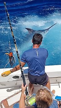 hermoso lanzamiento Pesca Deportiva Cavalier & Blue Marlin Gran Canaria