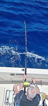 750lb Blue Marlin Cavalier & Blue Marlin Sport Fishing Gran Canaria