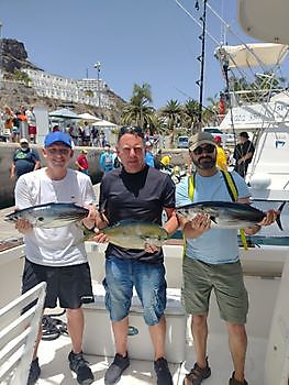 6/7/22 - Dorados y Skipjacks Pesca Deportiva Cavalier & Blue Marlin Gran Canaria