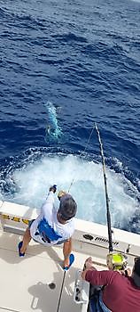 Hooked up Pesca Deportiva Cavalier & Blue Marlin Gran Canaria