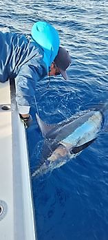 Release me Cavalier & Blue Marlin Pesca sportiva Gran Canaria