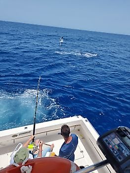 Hook up Pesca Deportiva Cavalier & Blue Marlin Gran Canaria