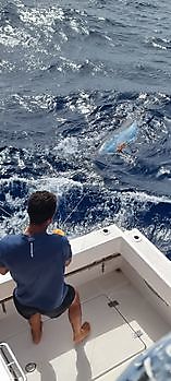 https://www.bluemarlin3.com/sv/cavalier Cavalier & Blue Marlin Sport Fishing Gran Canaria