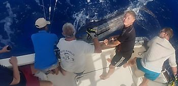 https://www.bluemarlin3.com/de/blauer-marlin Cavalier & Blue Marlin Sportfischen Gran Canaria