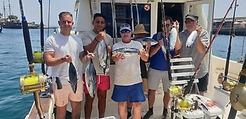 https://www.bluemarlin3.com/es/atunes-barrilete Pesca Deportiva Cavalier & Blue Marlin Gran Canaria