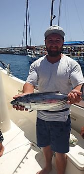 https://www.bluemarlin3.com/de/skipjack-thunfisch Cavalier & Blue Marlin Sportfischen Gran Canaria