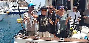 https://www.bluemarlin3.com/es/atun-listado Pesca Deportiva Cavalier & Blue Marlin Gran Canaria