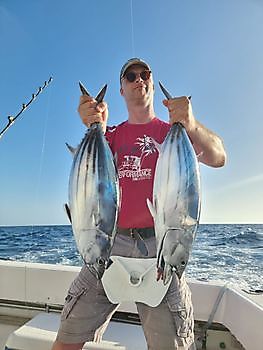 10/08/22 - Skipjack tonijn Cavalier & Blue Marlin Sport Fishing Gran Canaria