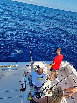 Boot Cavalier Cavalier & Blue Marlin Sport Fishing Gran Canaria