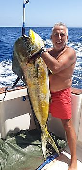 Dorado Cavalier & Blue Marlin Sport Fishing Gran Canaria