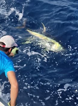 Atún de aleta amarilla Cavalier & Blue Marlin Sport Fishing Gran Canaria