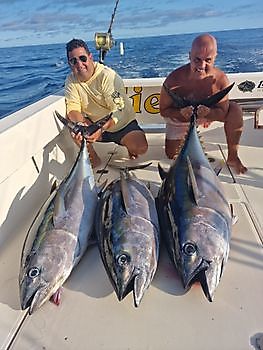 https://www.bluemarlin3.com/fr/thon-obese Cavalier & Blue Marlin Sport Fishing Gran Canaria