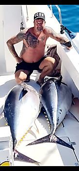 Tonno obeso Cavalier & Blue Marlin Pesca sportiva Gran Canaria