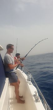 https://www.bluemarlin3.com/es/hooked-up Pesca Deportiva Cavalier & Blue Marlin Gran Canaria