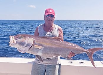 Más de 60 libras de serviola Pesca Deportiva Cavalier & Blue Marlin Gran Canaria