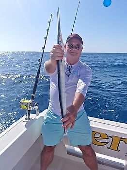 Hornhecht Cavalier & Blue Marlin Sport Fishing Gran Canaria