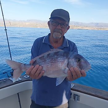 Gut erledigt Cavalier & Blue Marlin Sport Fishing Gran Canaria