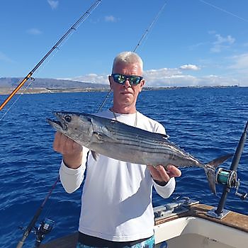 Bonite de l_Atlantique Cavalier & Blue Marlin Sport Fishing Gran Canaria