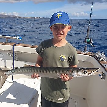 https://www.bluemarlin3.com/fr/barracuda Cavalier & Blue Marlin Sport Fishing Gran Canaria