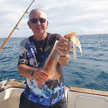 Calamaro Cavalier & Blue Marlin Sport Fishing Gran Canaria